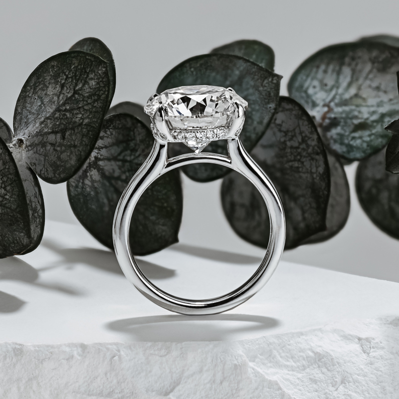 7ct Round Custom Hidden Halo